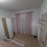 Karlo * Pridraga